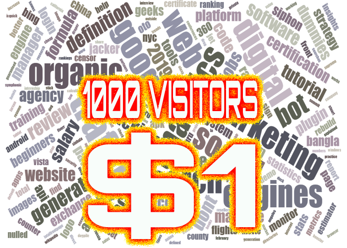 1000 web visitors $1