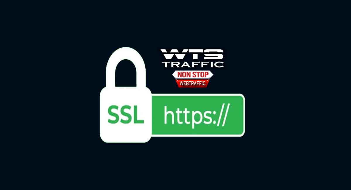 About WTS - SSL Checker